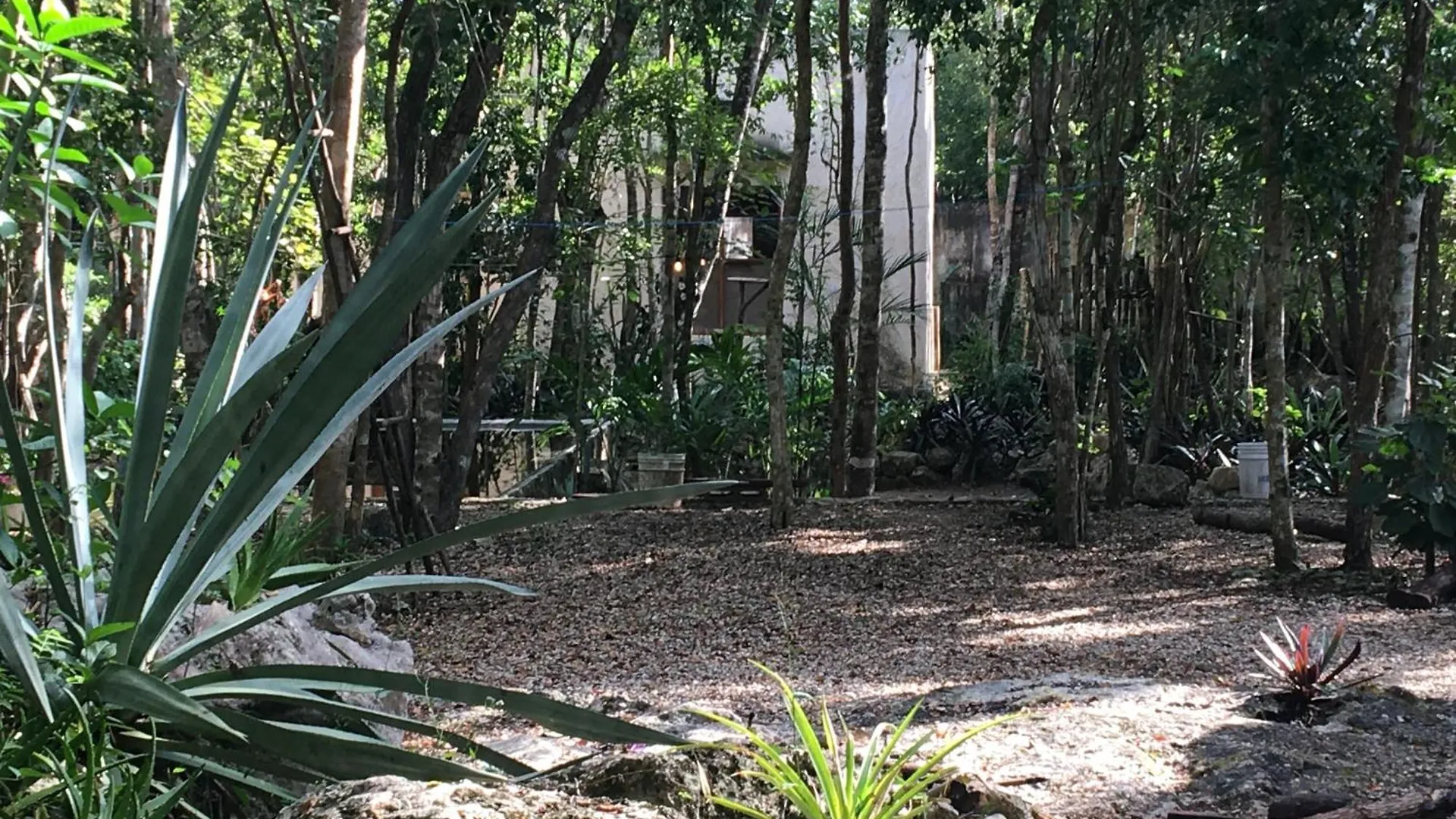 Gasthof Barefoot Jungle Studios Tulum