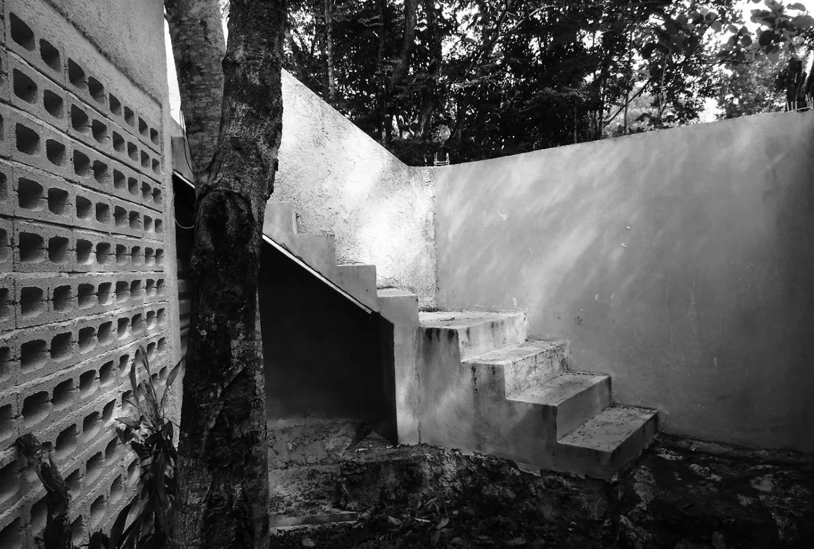 Barefoot Jungle Studios Tulum Mexiko